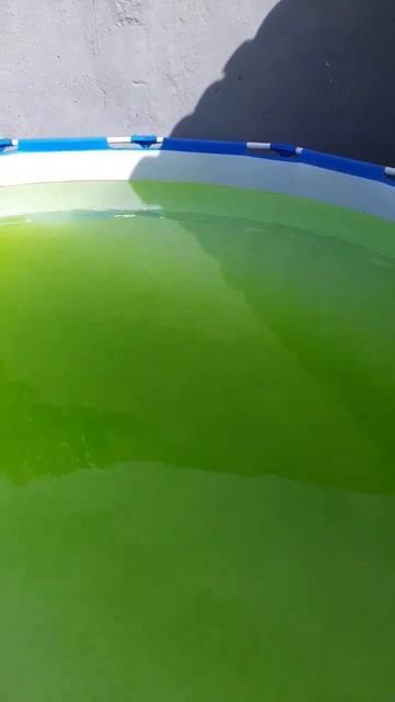 parte 02: limpeza da psicina #bestway #hth смотреть онлайн