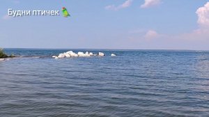 летние радости на Урале ✓ Каролина Ещё весной встречались мы с тобой