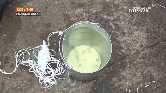 Очистка сточных вод молочной промышленности на примере Стародубского сырзавода