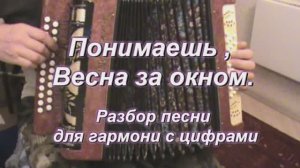 Понимаешь,весна за окном. (041 гармонь с цифрами)