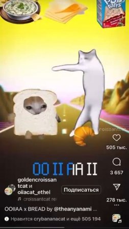 мемные коты