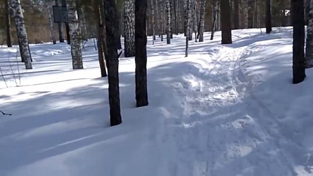 Как быть дальше? Мысли проекты...