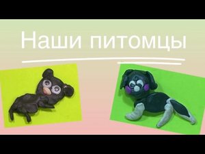 «Наши питомцы» - Саввина Алисия и Копырина Арина