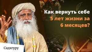 Секрет суперпитания: 14 ингредиентов для энергии и молодости