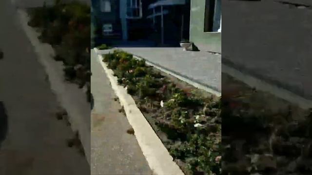 Артемий Говно Старсер Против нормальных людей.Фильм смотреть онлайн