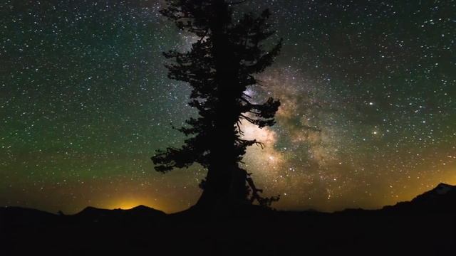 Векът на любовта - КавърЪ by DJane Monique & Мартина Табакова vs. Коцето Калки смотреть онлайн