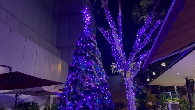 Christmas Decoration at Changi Airport Park Connector | Located Next to Terminal 2