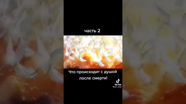 #истина #пророкмухаммад #мухаммад