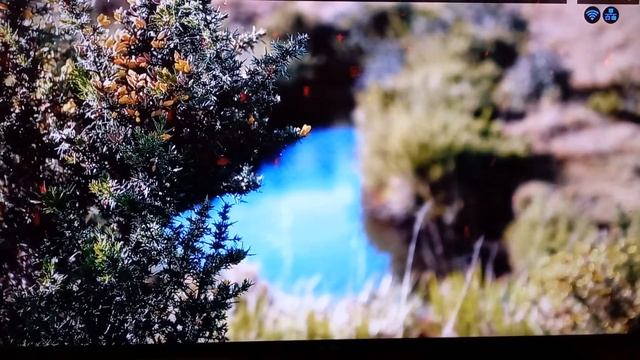 외나무다리 смотреть онлайн