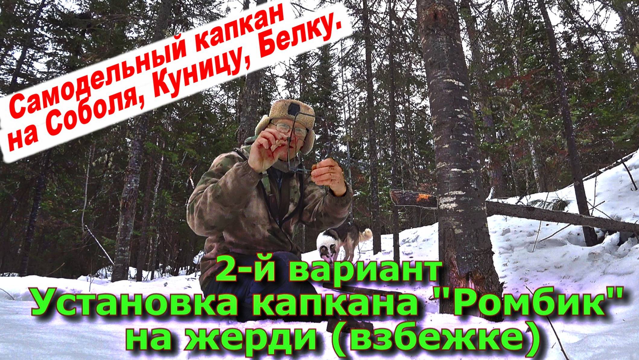 2-й вариант Установка капкана "Ромбик" на жердь-взбежку