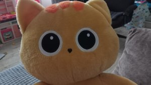 играем в детскую мягкую игрушку котика