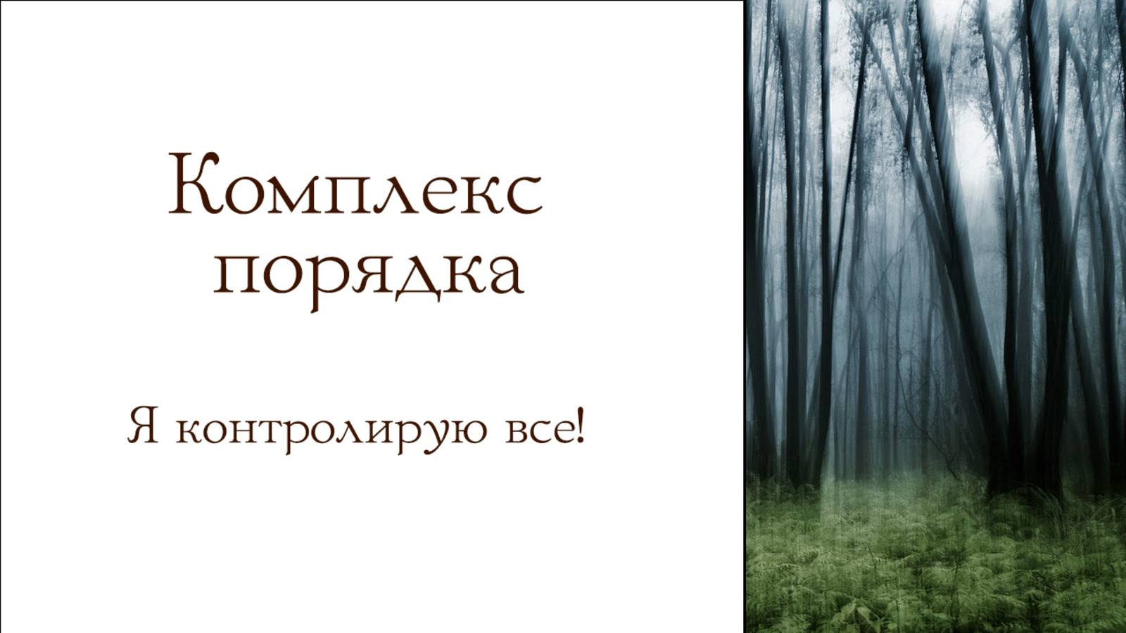 Комплекс порядка. Я контролирую всё!