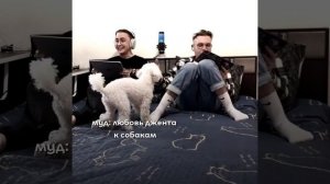 Джент любит собак #standoff #standoff2 #джентельмен #собака #youtubeshorts #ржакадослез #мем #мемы