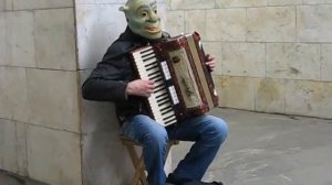 Шрек и аккордеон / Shrek and accordion