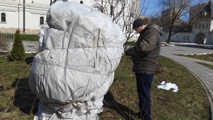 Распаковка сливы и форзиции после возвратных весенних заморозков