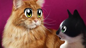 РОЗЫГРЫШ ОГРОМНОГО КОТА ГУГЛА ! КОТ И КОШЕЧКА МУРКА узнали НОВЫЕ ИГРЫ С КОТАМИ! А ну-ка давай-ка
