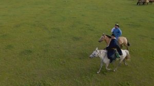 Galshariin unaga Галшарын унага