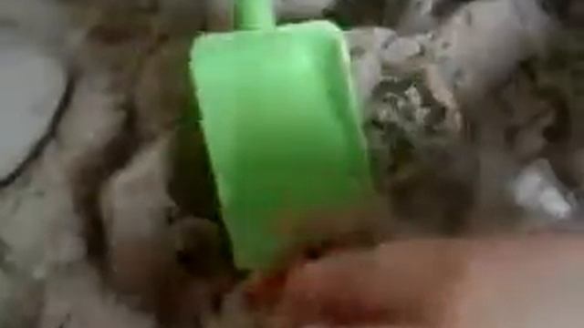 Привет мы копаем и находим свинку Пеппу! смотреть онлайн