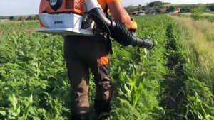 STIHL SR 450 💦 ULV 0.8 & result