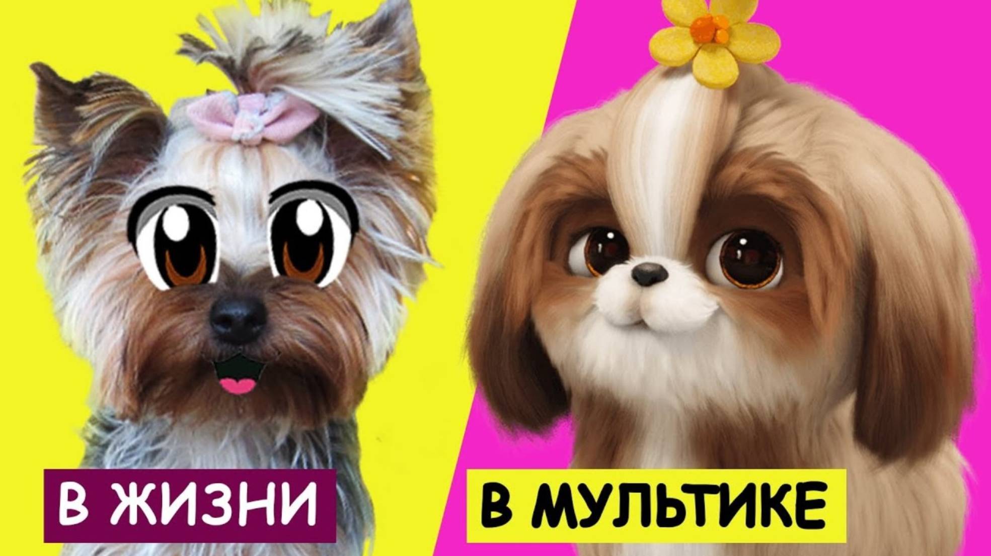ТАЙНАЯ ЖИЗНЬ ДОМАШНИХ ЖИВОТНЫХ 2 В РЕАЛЬНОЙ ЖИЗНИ! Смешные КОТИКИ ЗАКАЗАЛИ ПИЦЦУ | А ну-ка давай-ка