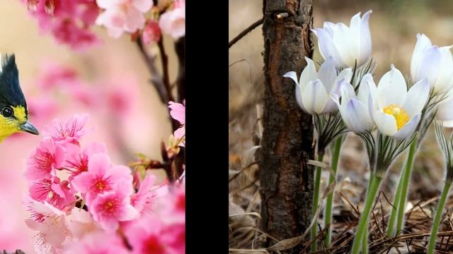 Денис Вилейчик. Март смотреть онлайн