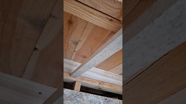 1000021409.mp4 (Собака смотрит на электроснабжение дома А-фрейм)