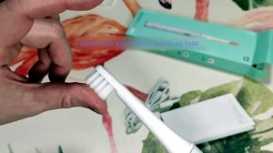 Xiaomi Mijia Sonic Electric Toothbrush T100