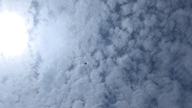 голуби.. смотреть онлайн