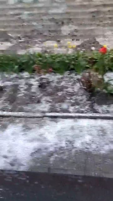 3 мая 2019 г. смотреть онлайн