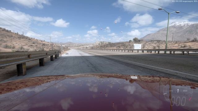 Forza cruise