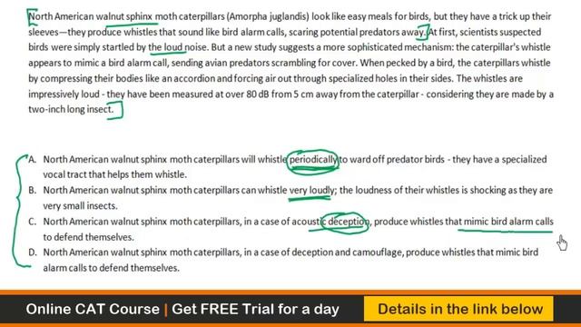 CAT Paragraph Summary- Q1 смотреть онлайн