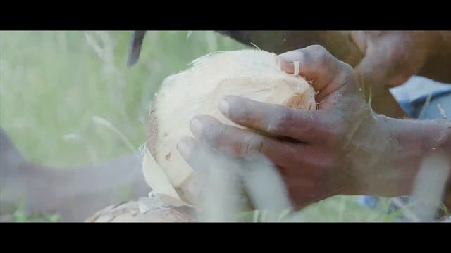 A Trip to Paradise - Zanzibar смотреть онлайн