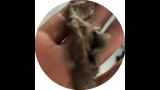 😂КОРЕША ЖДЕТ СЮРПРИЗ ОТ БАРИ😂 смотреть онлайн