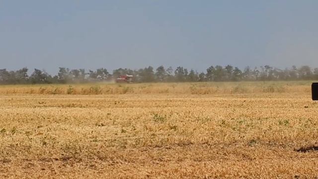 JD t660 горох 2017 смотреть онлайн