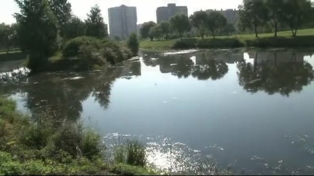 МО Пороховые - Парк Малиновка, Уборка водоёма смотреть онлайн