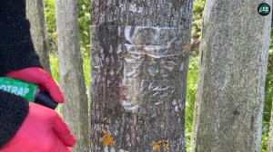 ЛОВЧИЙ ПОЯС скотч злобный ТЕД