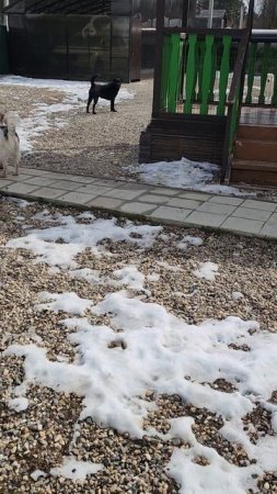 А у нас во дворе