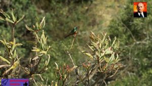 часть 3. Водные испытания и чудеса прибрежной зоны - дикая природа Южной Африки-