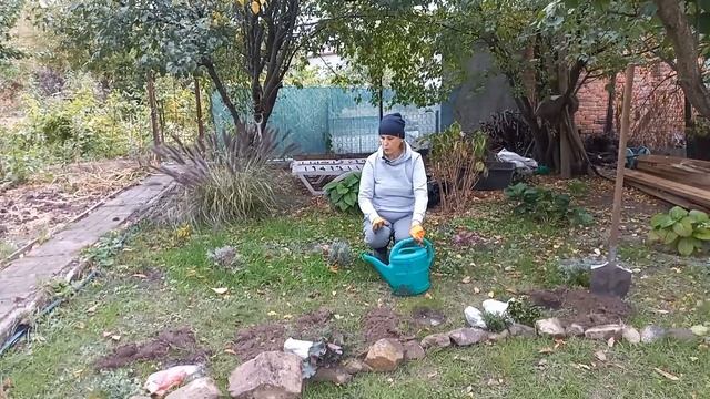 ОСІННІ ДАЧНІ РОБОТИ🍁Збір врожаю продовжується🫑🍅🥔🍆#підготовкагородувосени#город#овочі#посадкачаснику смотреть онлайн