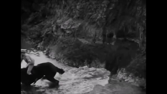 1920's Cavalry Horseback Riding Training / Sólstafir - Fjara смотреть онлайн