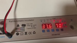 Инкубация продолжается_ собираю яйцо В НОВУЮ КОРЗИНКУ😁👍😍сколько сегодня яиц_ 19 марта 2025 года