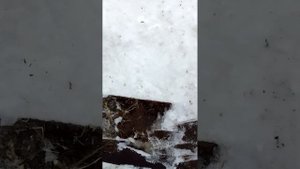 Обновленная лопата (отвал) на Т25 на заднюю навеску