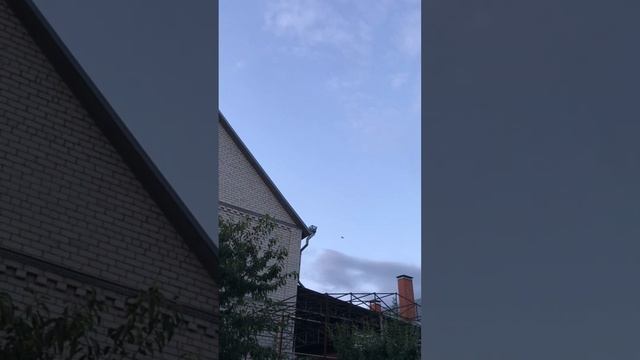 Турецкая Такла в Пятигорске. 01.08.24. Арап голубка, набирает по немногу😁✋ смотреть онлайн