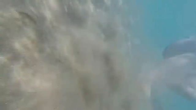 рыбки кусают за пятки 16 августа 2020 г. смотреть онлайн