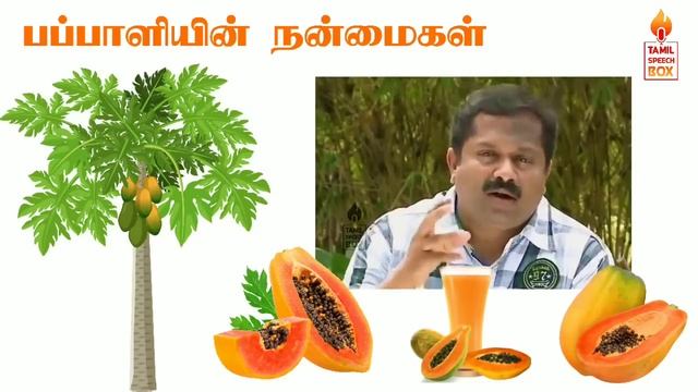 பப்பாளியின் நன்மைகள்! Dr. Sivaraman speech in Tamil | Benefits of Papaya in Tamil | Tamil speech bo
