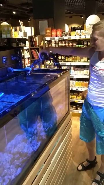 Аквариум для продажи устриц смотреть онлайн