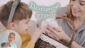 Доброе утро-А.Шато_cover С.Трандафилов