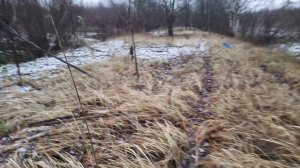 Вот такие находки.