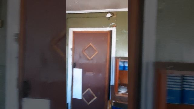 20250415_115654 смотреть онлайн