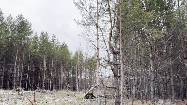 безымянная, буян смотреть онлайн